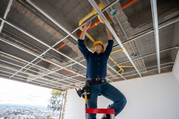 Best Best Plumbers Near Me  in Albers, IL
