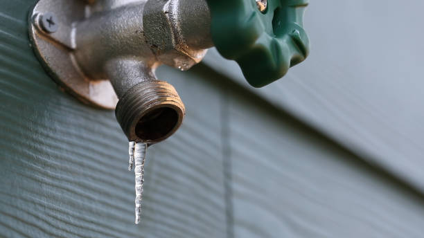 Best Leak Detection Services  in Albers, IL