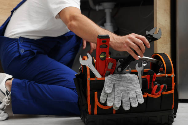 Best Leak Detection Services  in Albers, IL